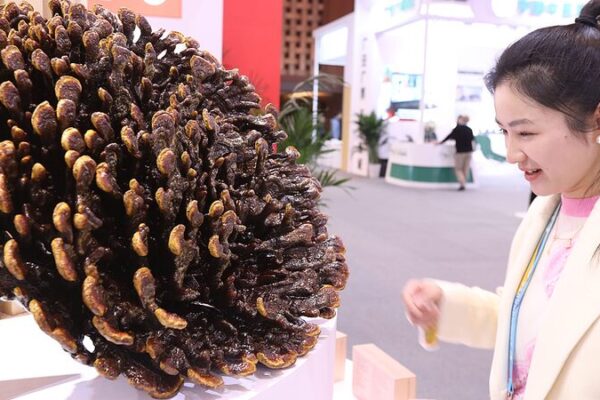 Beijing to Host 2024 World Conference on Traditional Medicine 🌿 2024 World Conference on Traditional Medicine opens in Beijing