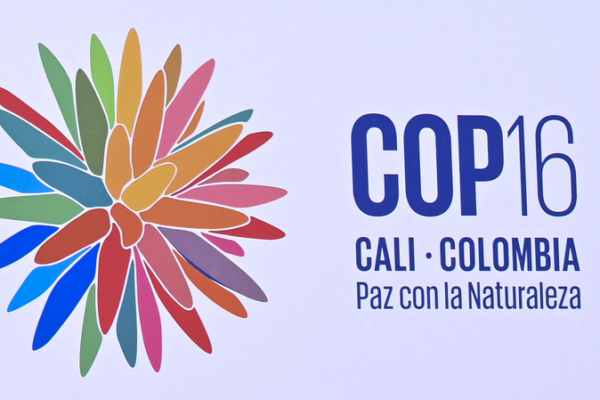 🌿 Nine Biodiversity Projects Get Green Light at COP16! 9 projects supported by Kunming Biodiversity Fund approved at COP16