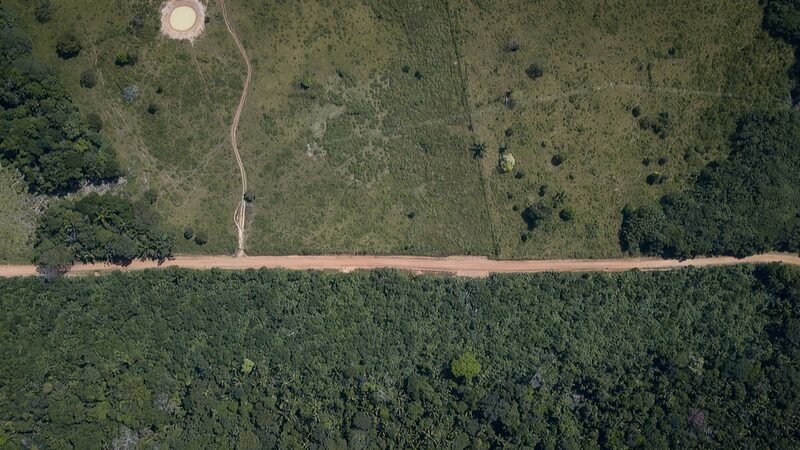 Armed groups hinder Colombia in curbing deforestation, report says
