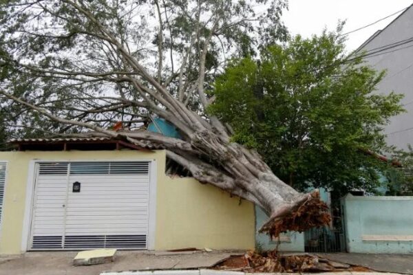 Brazil’s Heavy Rains After Drought Claim 8 Lives 🌧️ At least 8 dead as heavy rain thrashes Brazil after long drought