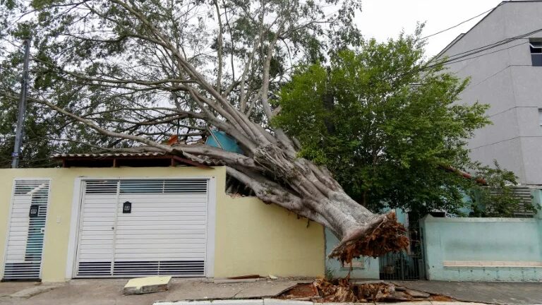 At_least_8_dead_as_heavy_rain_thrashes_Brazil_after_long_drought - Namaste Headlines At least 8 dead as heavy rain thrashes Brazil after long drought