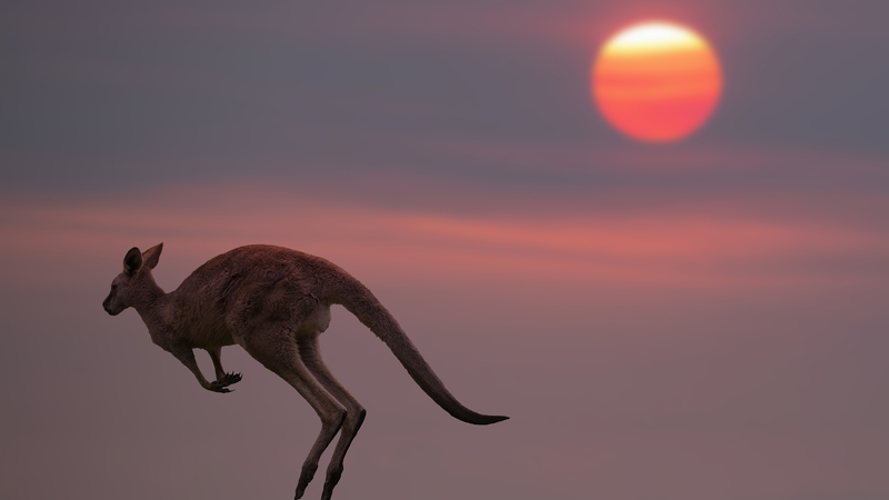 Australia sees hottest spring on record