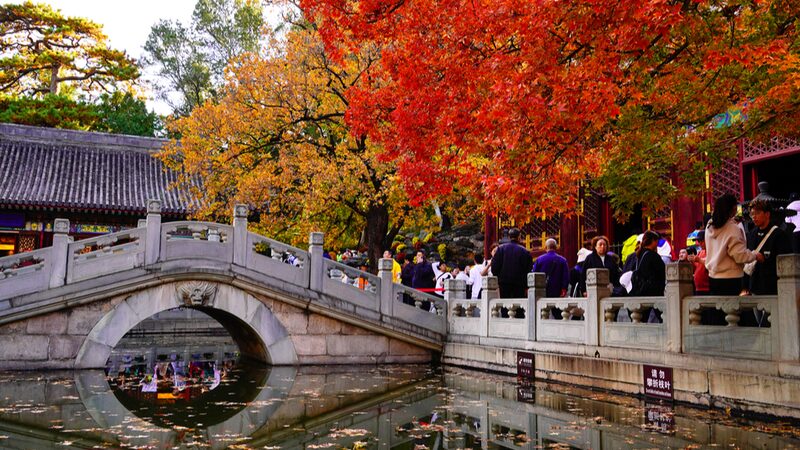 Autumn trees in Beijing's Xiangshan Park 'dressed in red'