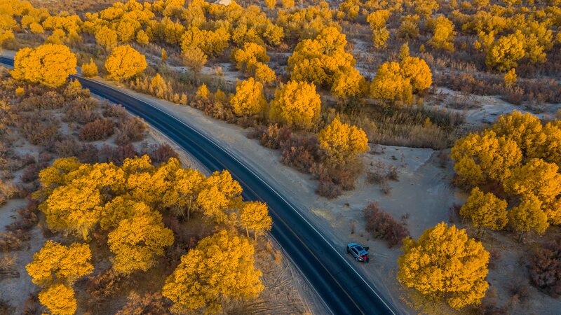 Battle_in_the_sea_of_sand_Weaving_a_green_scarf_for_Xinjiang - Namaste Headlines Battle in the sea of sand: Weaving a "green scarf" for Xinjiang