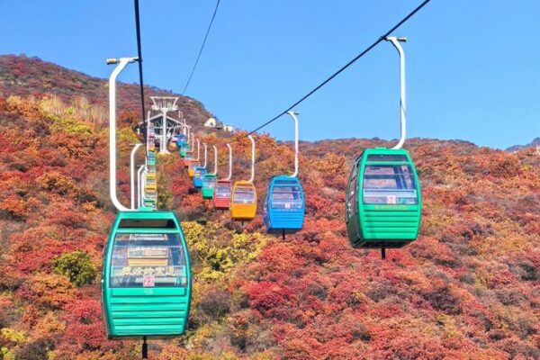 🍁 Beijing’s Pofengling Lights Up with Stunning Fall Colors! Beijing's Pofengling enters peak fall foliage season