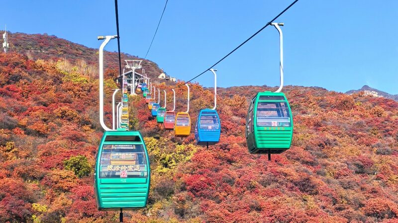 Beijing's Pofengling enters peak fall foliage season