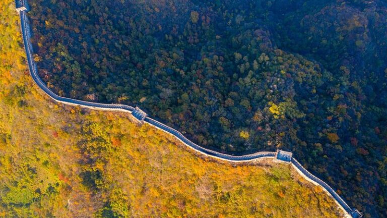 Beijings_forest_coverage_rate_to_reach_45_percent_in_2025 - Namaste Headlines Beijing's forest coverage rate to reach 45 percent in 2025