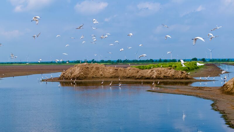 Book of Xi Jinping's discourses on natural resources work published