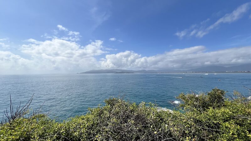 Breakthroughs_in_nature_fascinating_discoveries_of_2024 - Namaste Headlines Breakthroughs in nature: fascinating discoveries of 2024