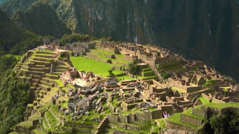 CGTN The Vibe 20241114