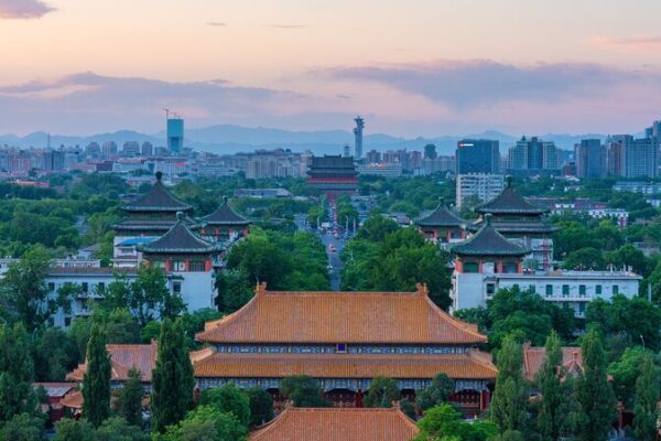 CGTN The Vibe 20241118