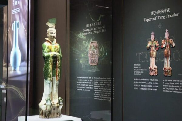 CGTN The Vibe 20241218