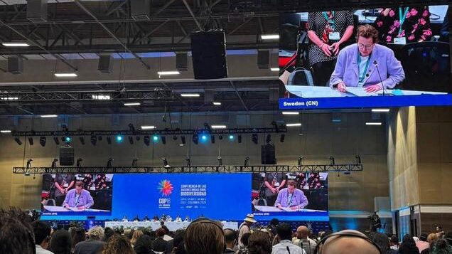 COP16_concludes_with_three_major_agreements - Namaste Headlines COP16 concludes with three major agreements