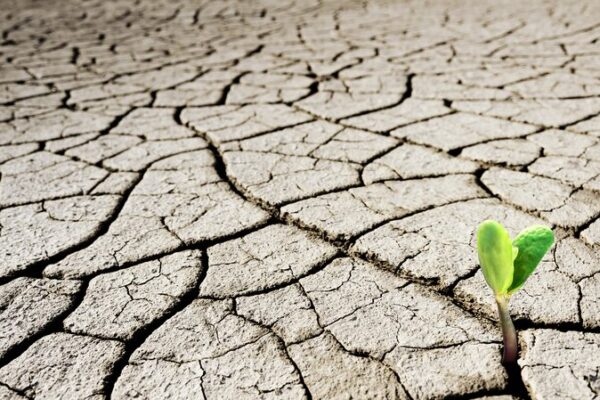 Shocking Report: 75% of Earth’s Land Becoming Permanently Drier 🌍💧 COP16 report warns three-quarters of global land 'permanently drier'