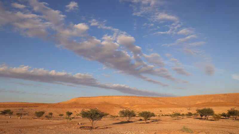 COP16_to_combat_desertification_opens_in_Saudi_Arabia - Namaste Headlines COP16 to combat desertification opens in Saudi Arabia