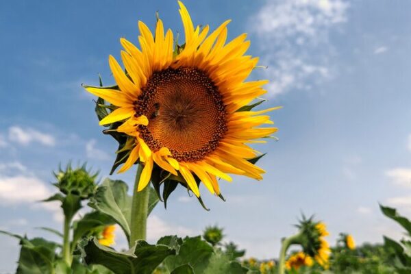 China’s Warmest Autumn on Record 🥵: What’s Going On? China sees warmest autumn on record