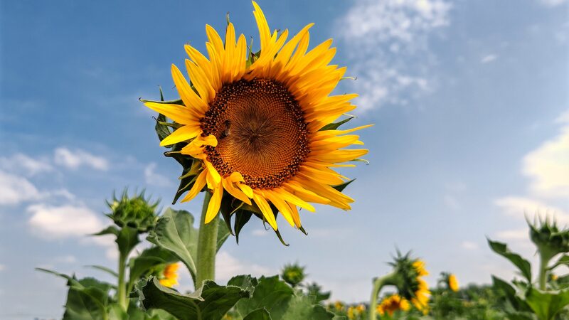 China sees warmest autumn on record