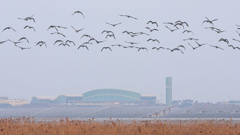 China to boost aviation safety following recent foreign incidents
