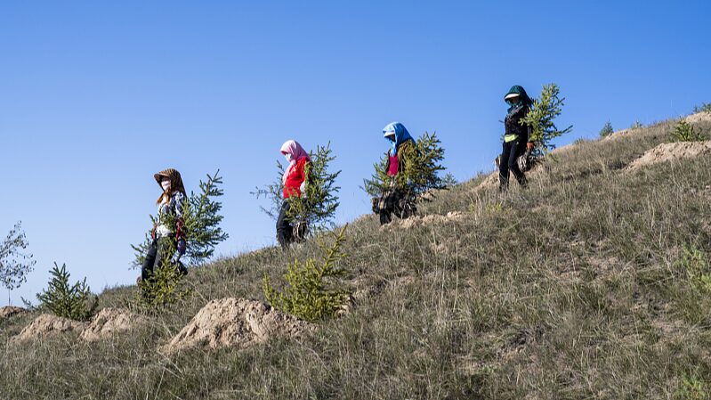 China_to_share_desertification_strategies_at_UNCCD_COP16 - Namaste Headlines China to share desertification strategies at UNCCD COP16
