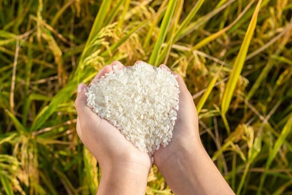 China’s Drive to Reduce Food Waste 🍽️🌟 China works to reduce food loss, waste
