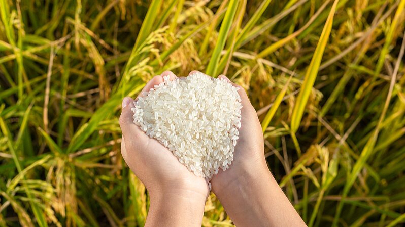 China_works_to_reduce_food_loss_waste - Namaste Headlines China works to reduce food loss, waste