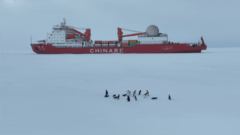 China's 41st Antarctic expedition ships set to sail to Qinling Station