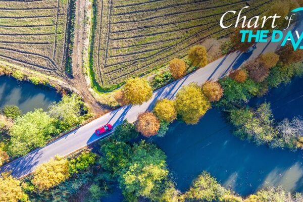 China’s Rural Roads: Circling the Globe 115 Times! 🌏🚗 China's 4.6 million km rural road network circles the globe 115 times