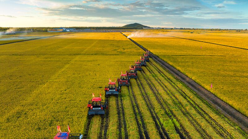 Chinas_grain_purchase_expected_to_reach_420_million_tonnes_in_2024 - Namaste Headlines China's grain purchase expected to reach 420 million tonnes in 2024