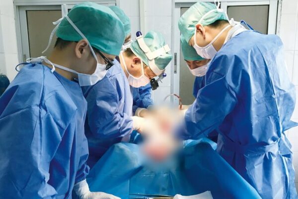 Chinese Scientists Revive Pig Brain After 50 Minutes, Breaking New Ground in Neuroscience 🧠✨ Chinese Scientists Revive Pig Brain That Had Been Dead for 50 Minutes