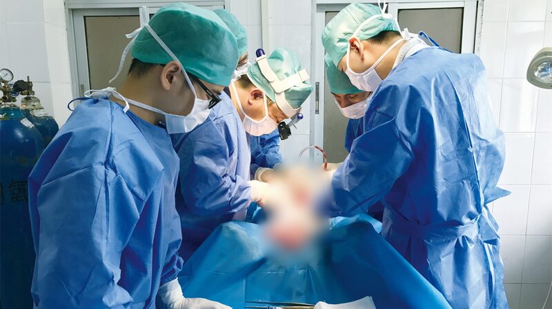 Chinese_Scientists_Revive_Pig_Brain_That_Had_Been_Dead_for_50_Minutes - Namaste Headlines Chinese Scientists Revive Pig Brain That Had Been Dead for 50 Minutes