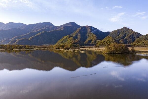 Chinese Energy Giants Push for More Biodiversity Conservation 🌿 Chinese energy firms call for more biodiversity conservation efforts