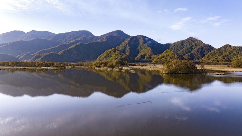 Chinese_energy_firms_call_for_more_biodiversity_conservation_efforts - Namaste Headlines Chinese energy firms call for more biodiversity conservation efforts