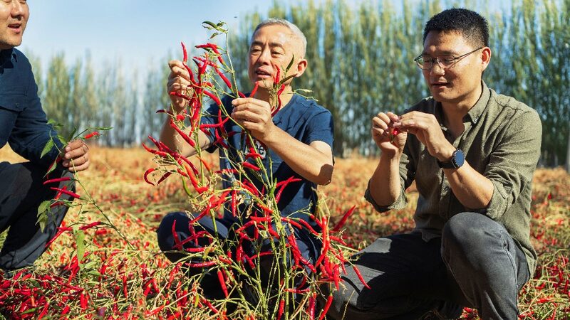 Chinese_scientist_wins_2024_UNEPs_Champions_of_the_Earth_Award - Namaste Headlines Chinese scientist wins 2024 UNEP's Champions of the Earth Award