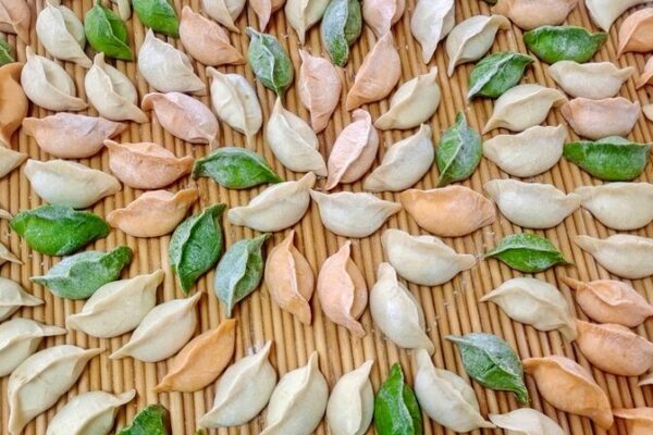Festive Feasts: Northern China’s Colorful Dumplings Light Up Winter Solstice 🎉🥟 Colorful tradition: Northern China's winter solstice dumplings
