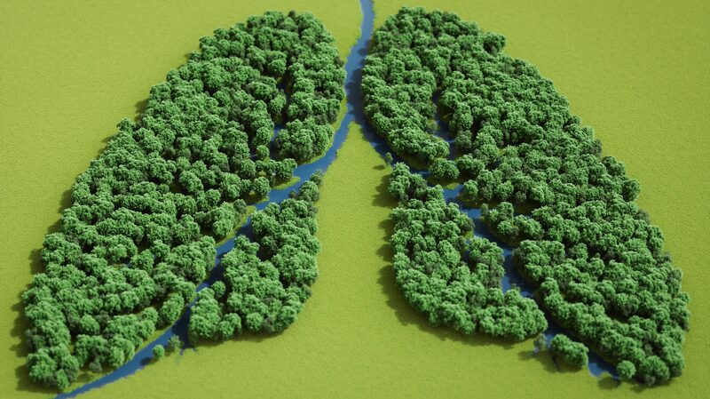 Early screening and management: Safeguarding lung health