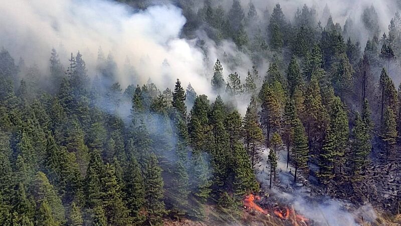 Ecuador_declares_national_emergency_as_wildfires_drought_intensify - Namaste Headlines Ecuador declares national emergency as wildfires, drought intensify