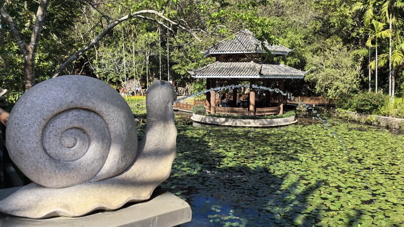 Embrace the natural beauty of Sanya's tropical forest park