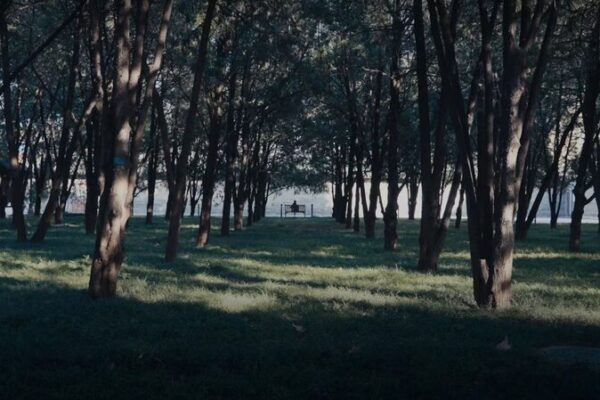 Find Tranquility in Beijing’s Ditan Park 🌿 Enjoy the seascape in Beijing's Ditan Park video poster
