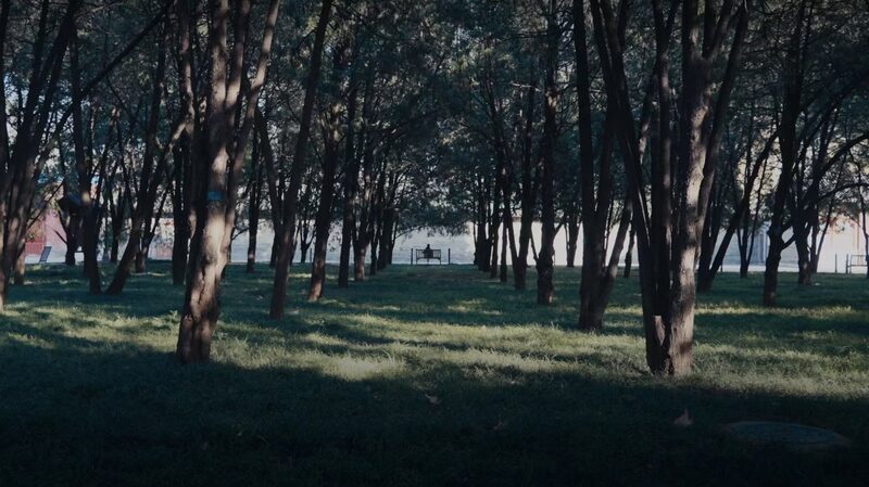 Enjoy the seascape in Beijing's Ditan Park video poster