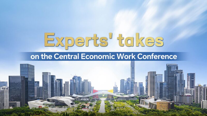 Experts_takes_on_the_Central_Economic_Work_Conference - Namaste Headlines Experts' takes on the Central Economic Work Conference