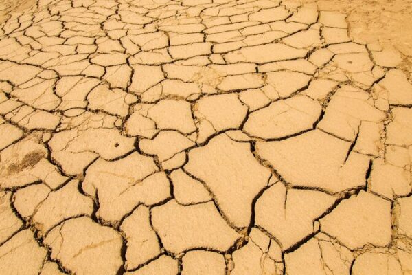 Desertification Dangers: How It Impacts Our World 🌍 Explainer: How can desertification affect us?