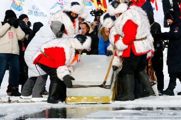 ✨ Ice Magic Unveiled: 5th Harbin Ice Harvest Festival Kicks Off in Style! Fanfare as the 5th Harbin Ice Harvest Festival kicks off