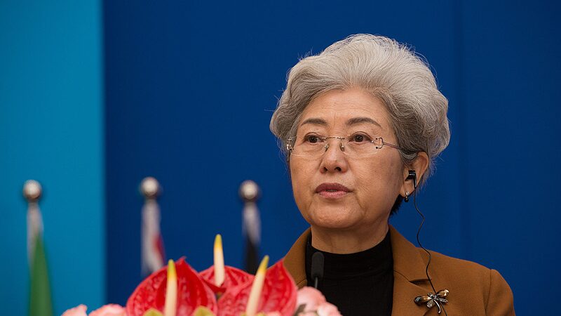 Former diplomat says China's global order concept places UN at center