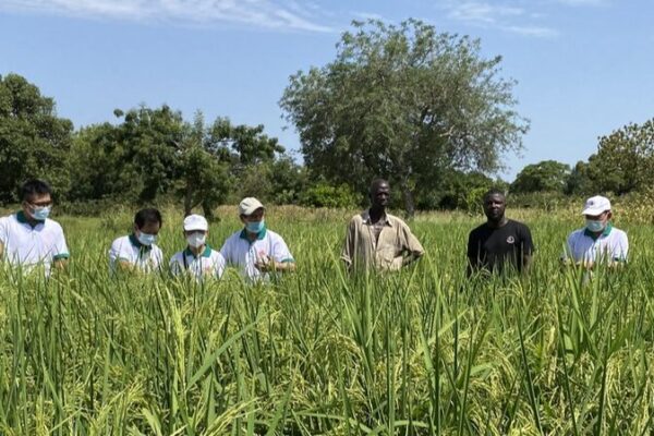 From Poverty to Prosperity: How China’s Journey Inspires Africa 🌍 From poverty to prosperity: China's know-how for Africa
