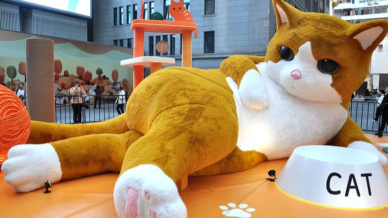 Giant_cat_grabs_the_spotlight_in_Shanghai - Namaste Headlines Giant 'cat' grabs the spotlight in Shanghai