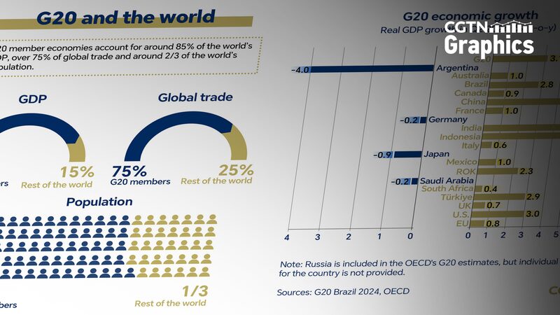 Graphics_G20s_position_in_the_world - Namaste Headlines Graphics: G20's position in the world