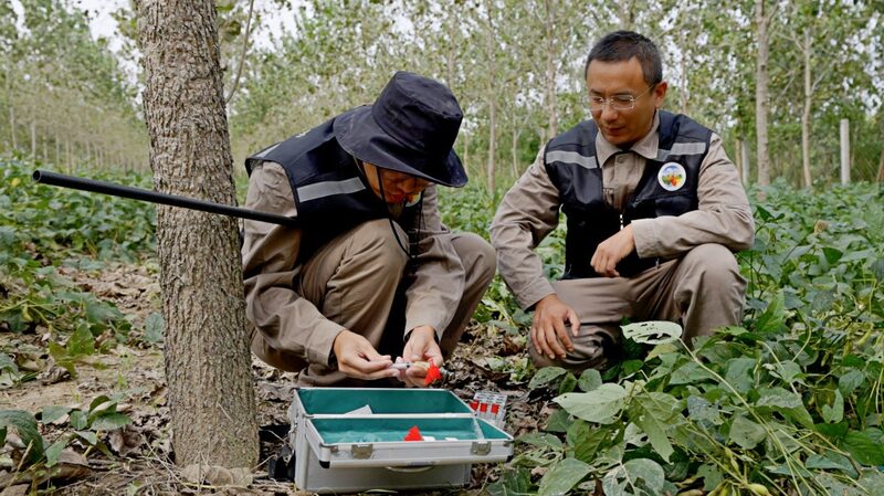 Guardians of the wild rescue milu deer in Jiangsu