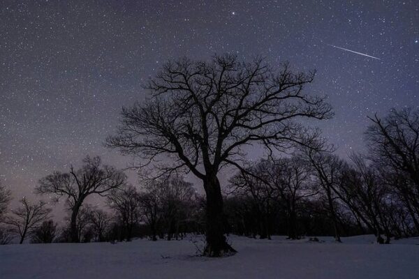 ✨ Get Ready for 2025’s First Meteor Shower: How to Catch the Quadrantids! How to catch the Quadrantids, the first meteor shower of 2025