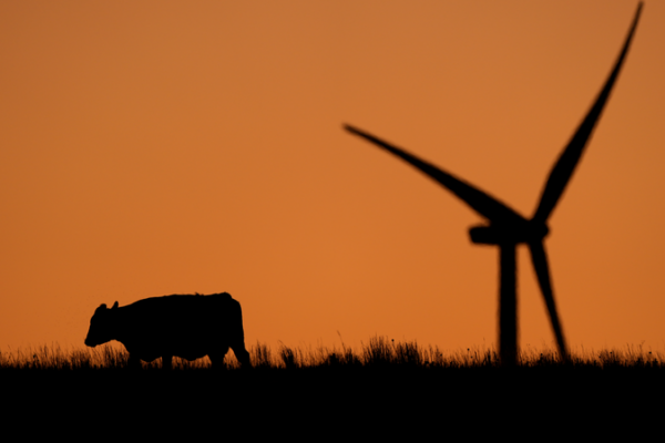 UN’s Wake-Up Call 🌍: Act Now to Tackle Climate Crisis! Immediate action needed to curb climate crisis, UN report warns