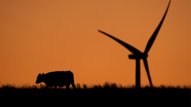 Immediate_action_needed_to_curb_climate_crisis_UN_report_warns - Namaste Headlines Immediate action needed to curb climate crisis, UN report warns